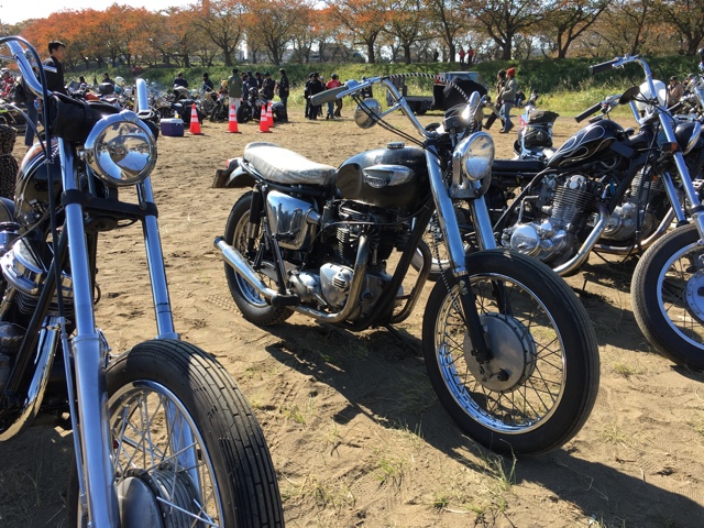 イメージ 10
