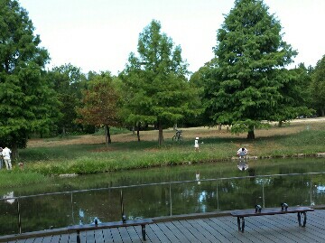 f:id:sujya:20160821142527j:image f:id:sujya:20160821142527j:image