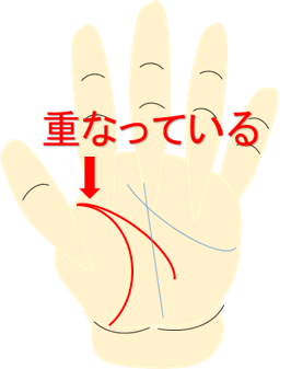 生命線と重なる頭脳線(知能線)