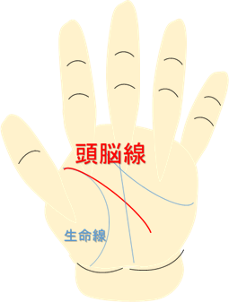 頭脳線