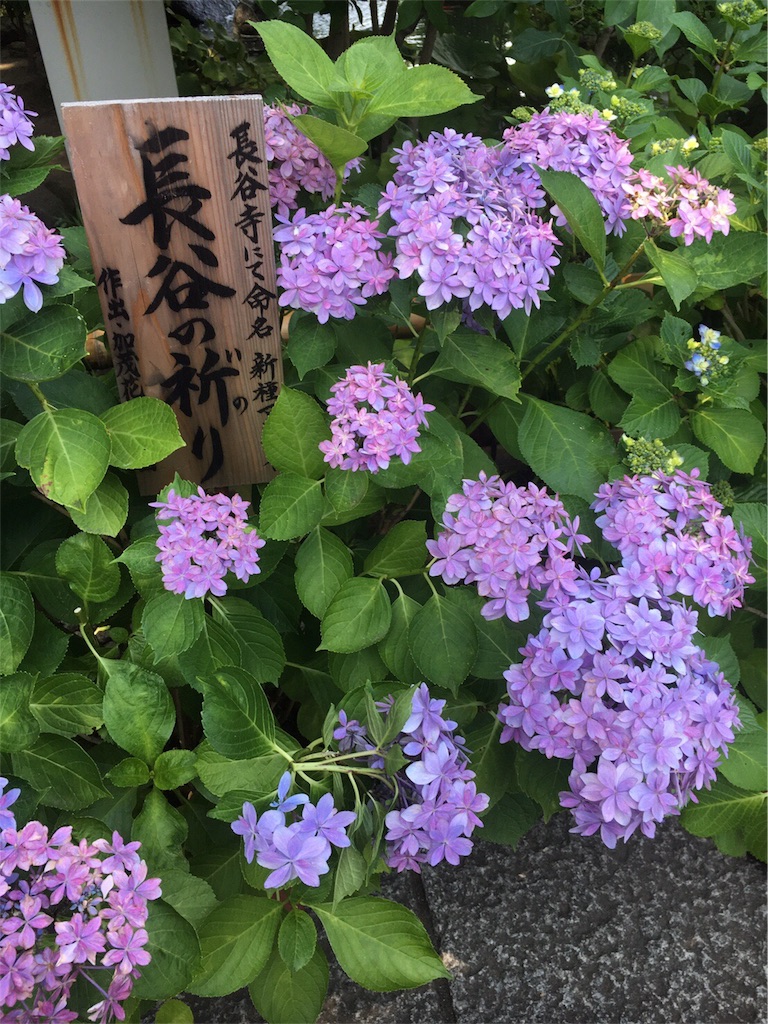 f:id:sukelog2240ryouri:20170612195754j:image