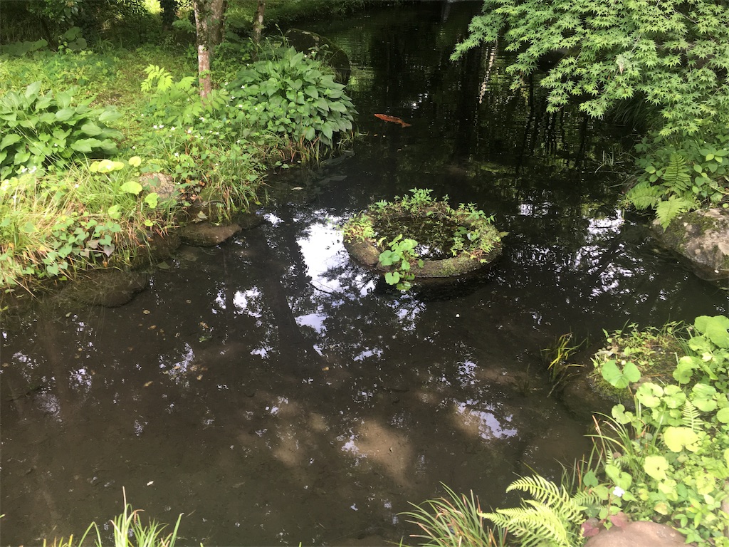 f:id:sukelog2240ryouri:20190622192444j:image f:id:sukelog2240ryouri:20190622192444j:image