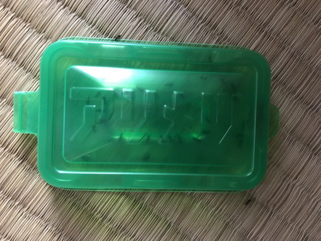 f:id:sukemori331:20181007165413j:plain f:id:sukemori331:20181007165413j:plain