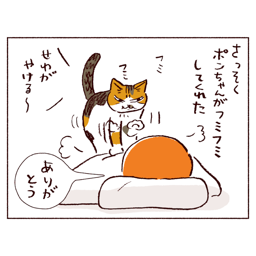 f:id:sukeracko:20250508084323p:image