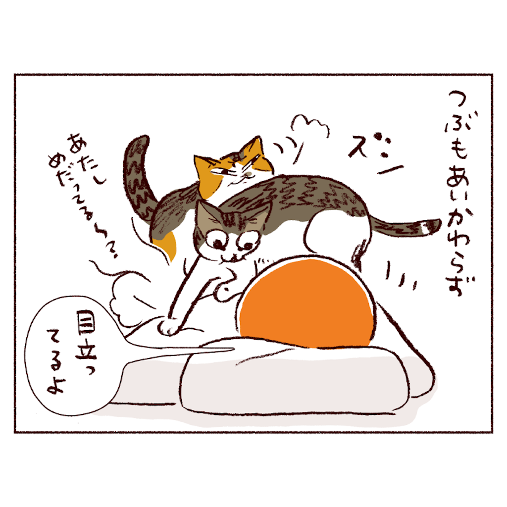 f:id:sukeracko:20250508084334p:image
