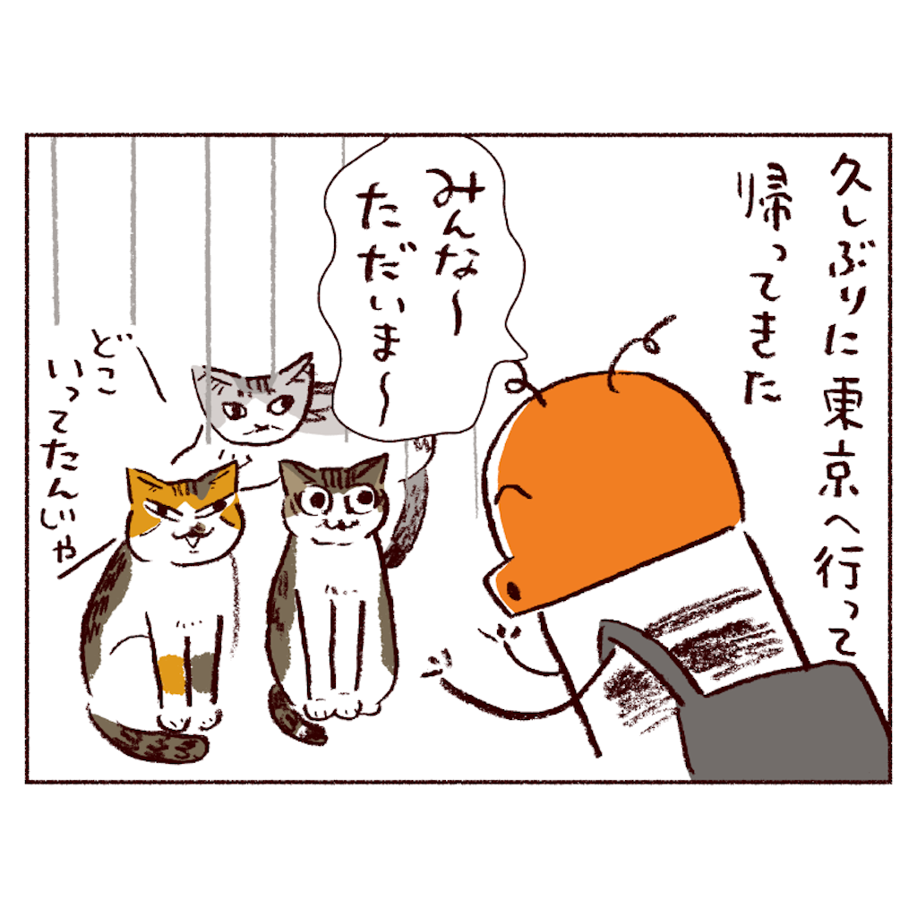 f:id:sukeracko:20250508084340p:image