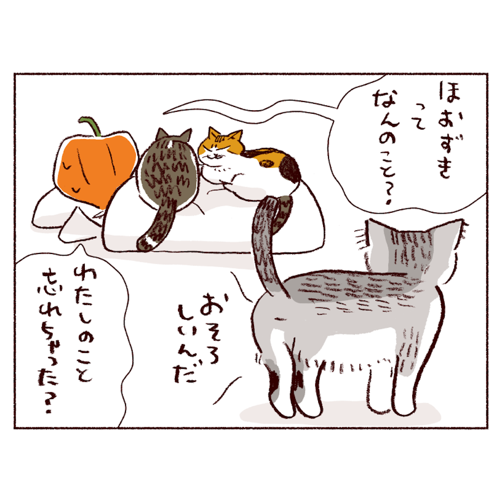 f:id:sukeracko:20250508084346p:image