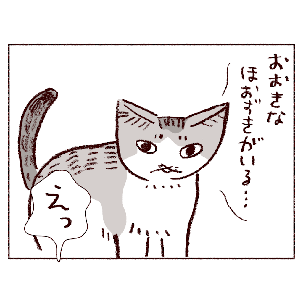 f:id:sukeracko:20250508084351p:image