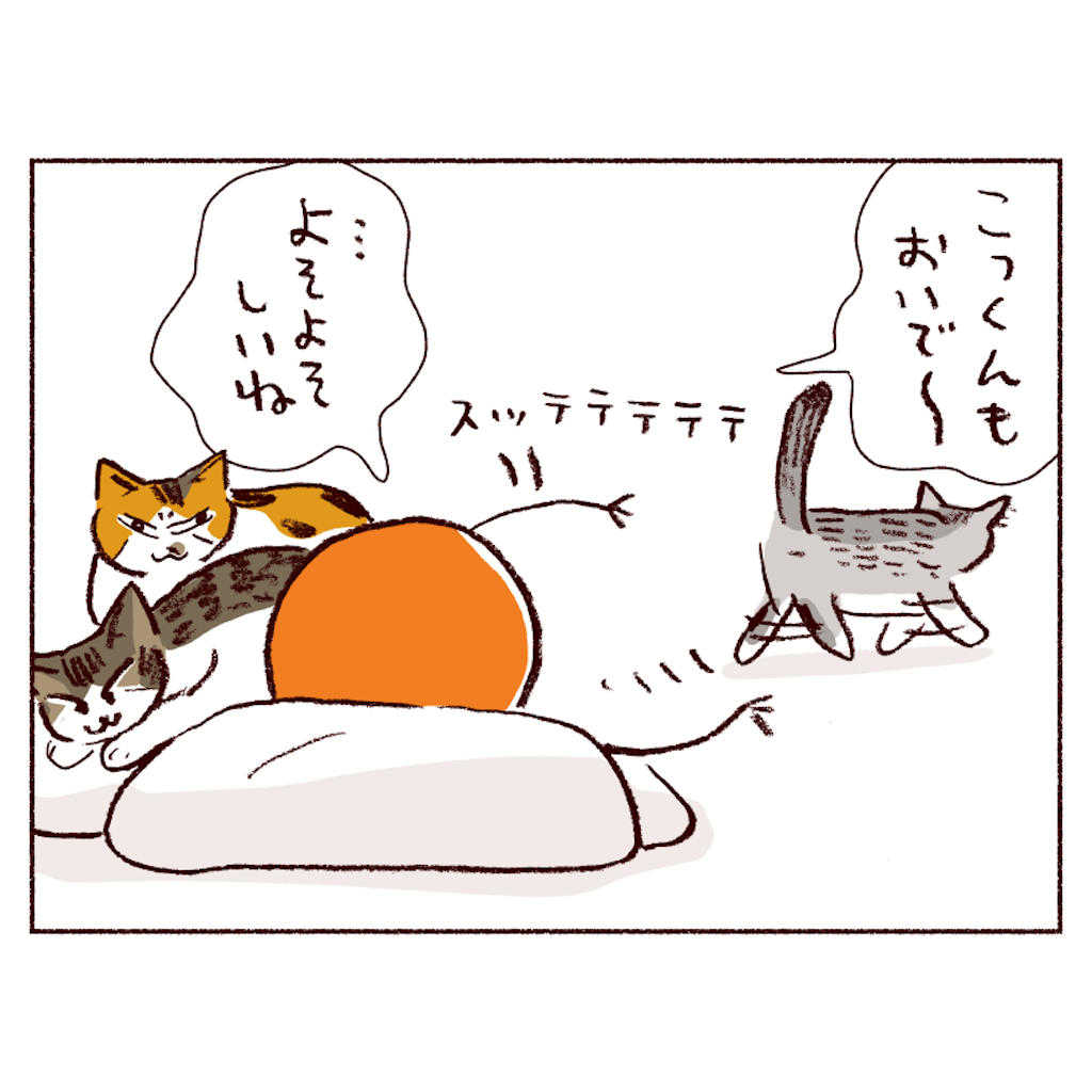 f:id:sukeracko:20250508084401p:image
