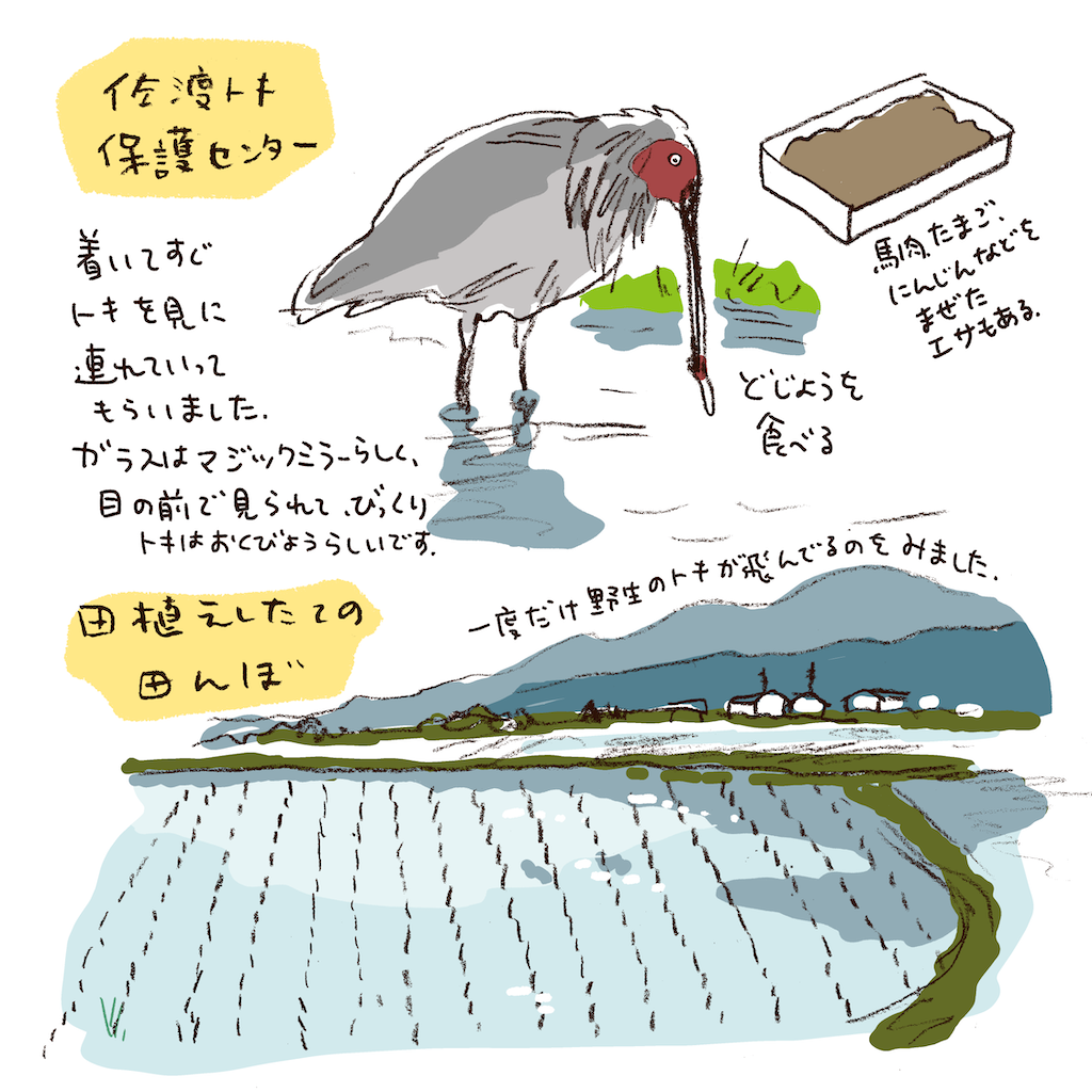 f:id:sukeracko:20250609105259p:image