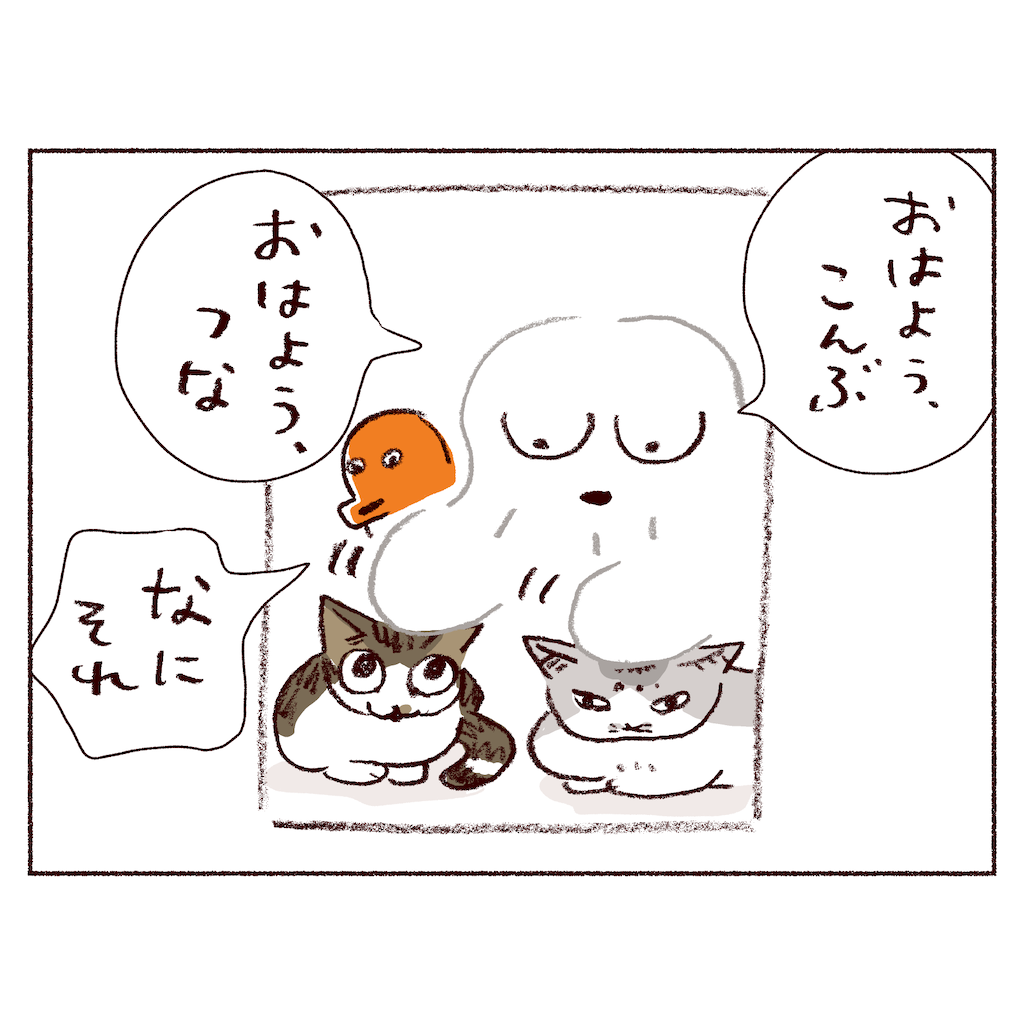 f:id:sukeracko:20250615112947p:image