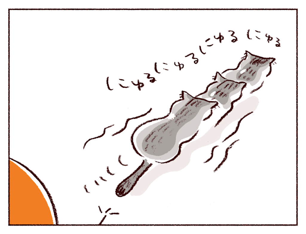 f:id:sukeracko:20260222115656p:image
