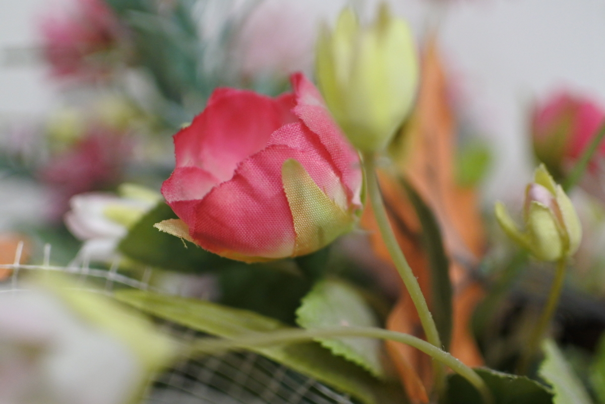 f:id:sukesaan:20191012081936j:plain f:id:sukesaan:20191012081936j:plain