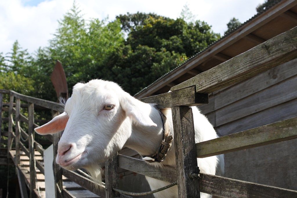f:id:sukesaan:20191018001803j:plain f:id:sukesaan:20191018001803j:plain
