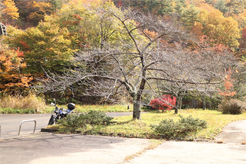 f:id:sukesan1107:20151103193137j:image f:id:sukesan1107:20151103193137j:image