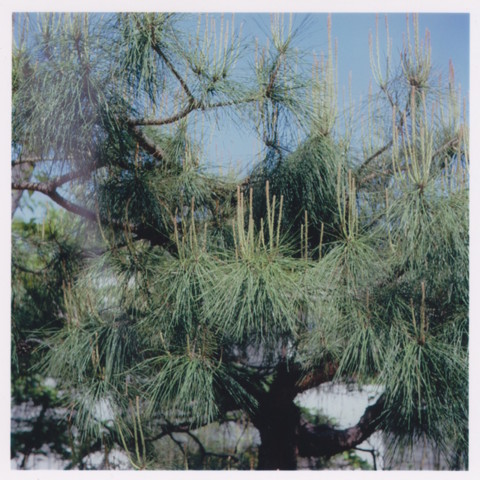 f:id:sukeza:20110529190420j:image f:id:sukeza:20110529190420j:image