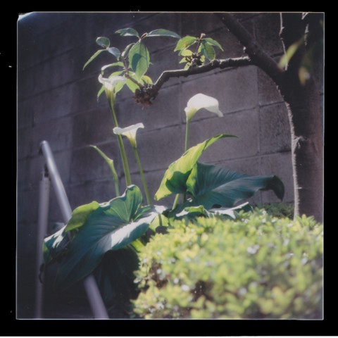 f:id:sukeza:20110529190421j:image f:id:sukeza:20110529190421j:image