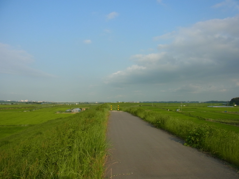 f:id:suki117:20130629050500j:image:w360 f:id:suki117:20130629050500j:image:w360