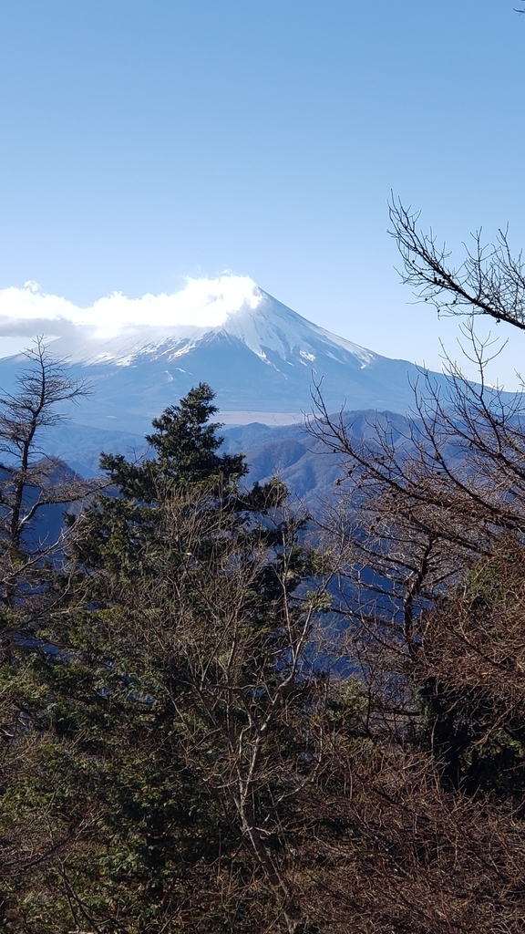 f:id:sukinamonomono:20190205234604j:plain f:id:sukinamonomono:20190205234604j:plain