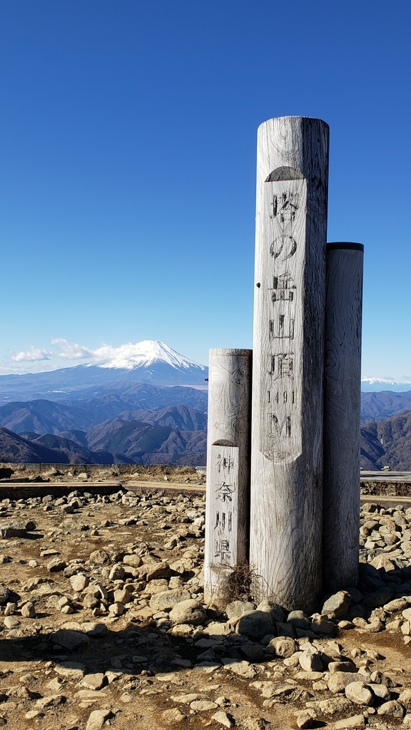 f:id:sukinamonomono:20190207234711j:plain f:id:sukinamonomono:20190207234711j:plain