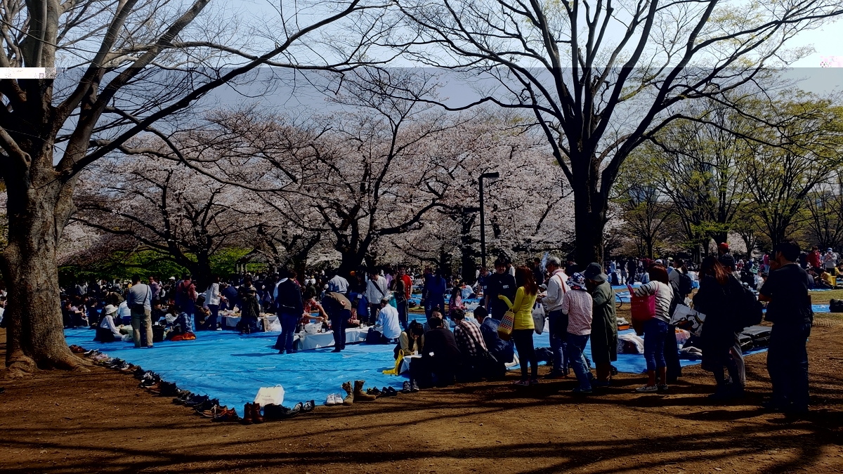 f:id:sukinamonomono:20190426005839j:plain f:id:sukinamonomono:20190426005839j:plain