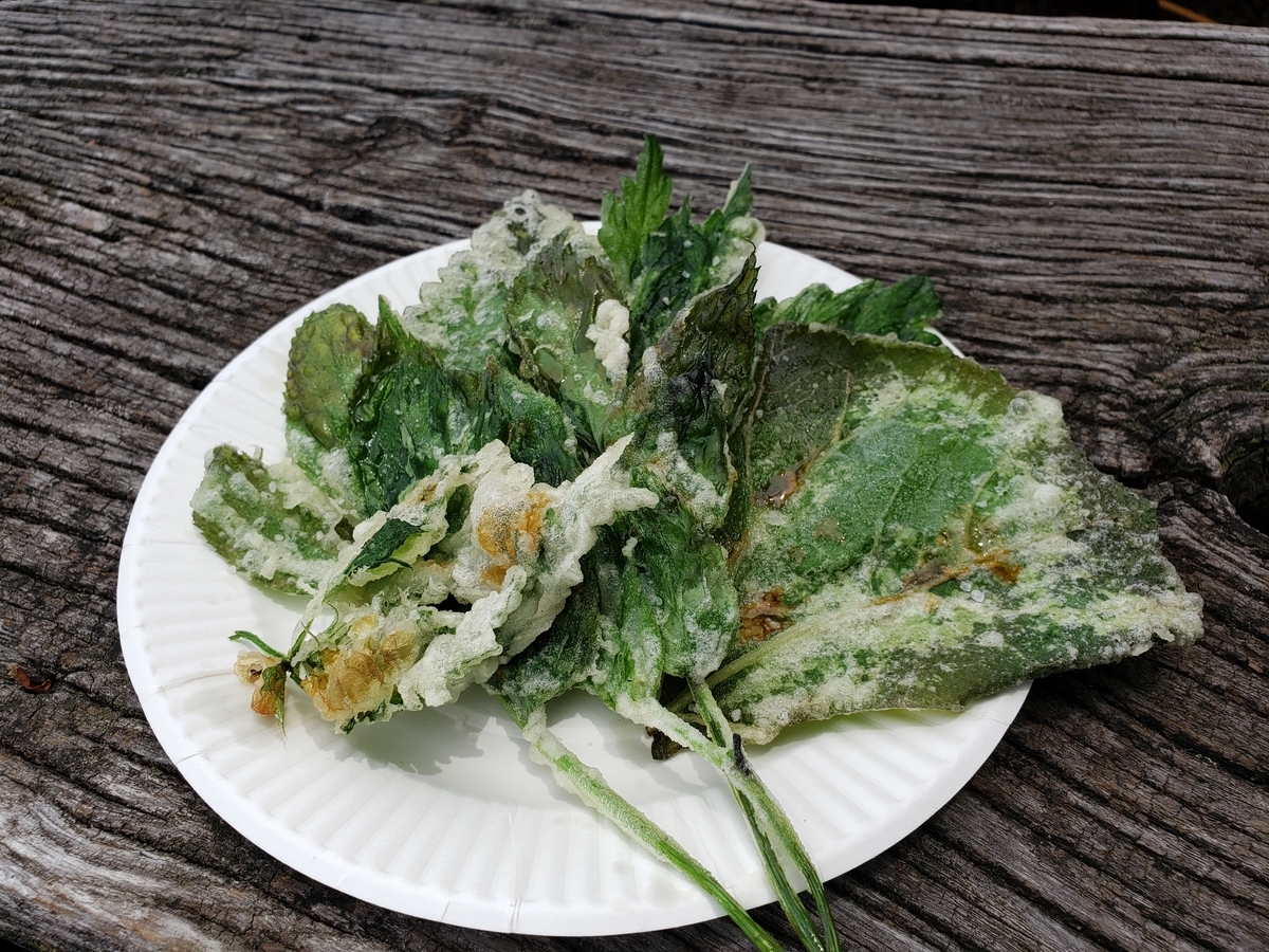 f:id:sukinamonomono:20190508013245j:plain f:id:sukinamonomono:20190508013245j:plain