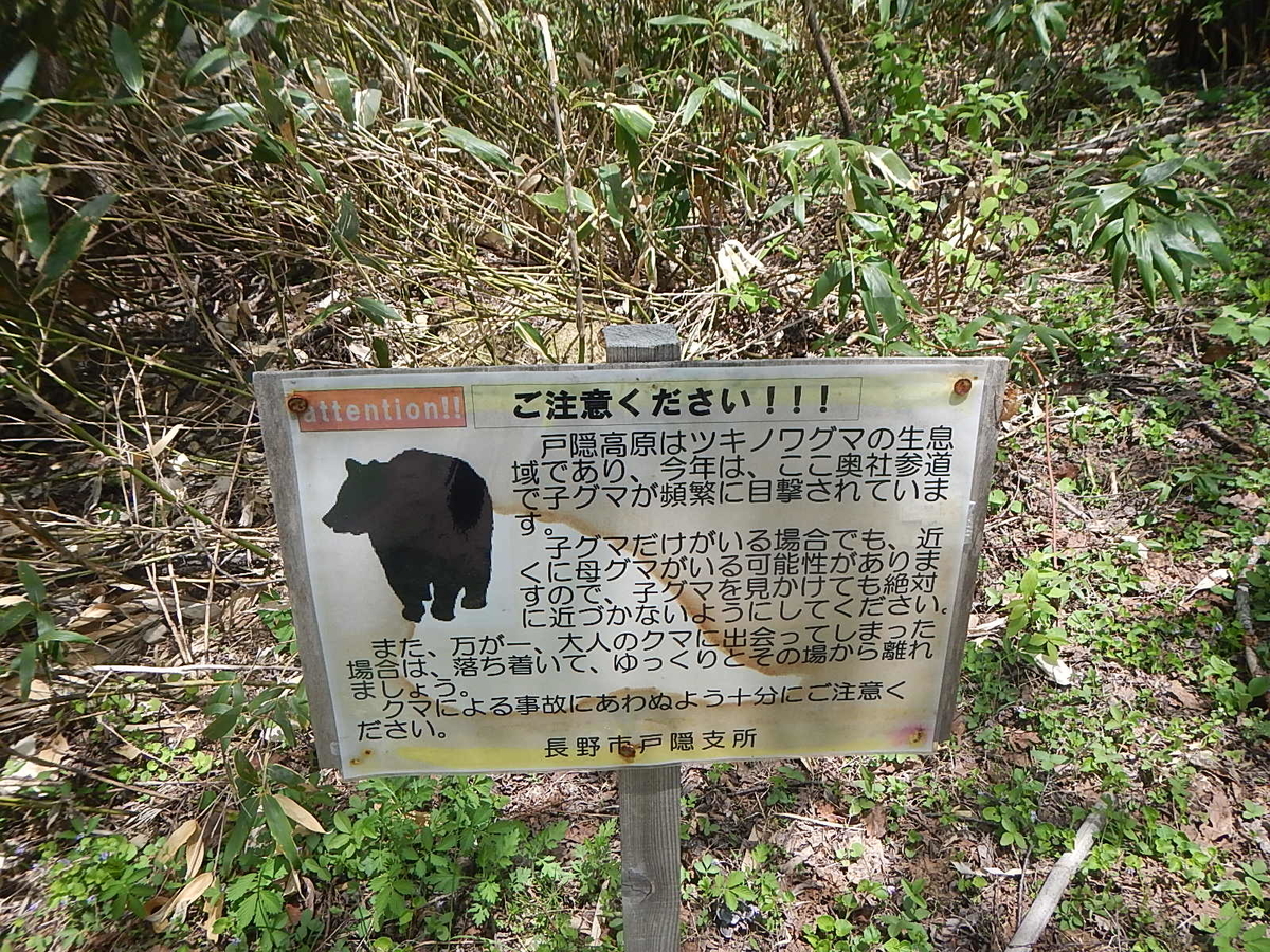 f:id:sukinamonomono:20190609005932j:plain f:id:sukinamonomono:20190609005932j:plain