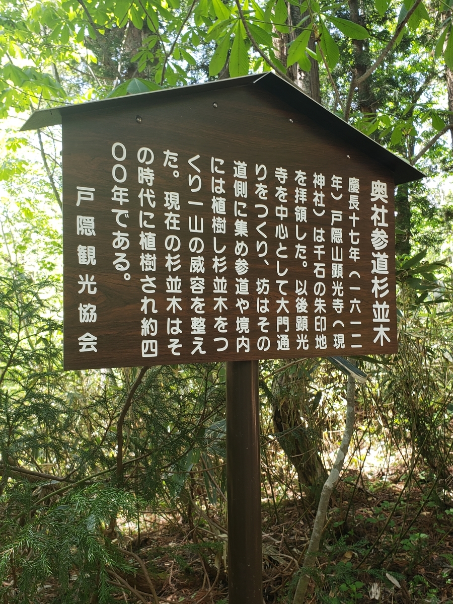 f:id:sukinamonomono:20190609011231j:plain f:id:sukinamonomono:20190609011231j:plain