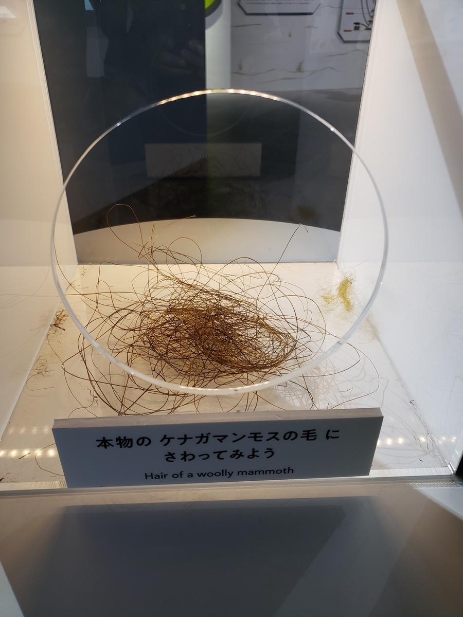 f:id:sukinamonomono:20190629202851j:plain f:id:sukinamonomono:20190629202851j:plain