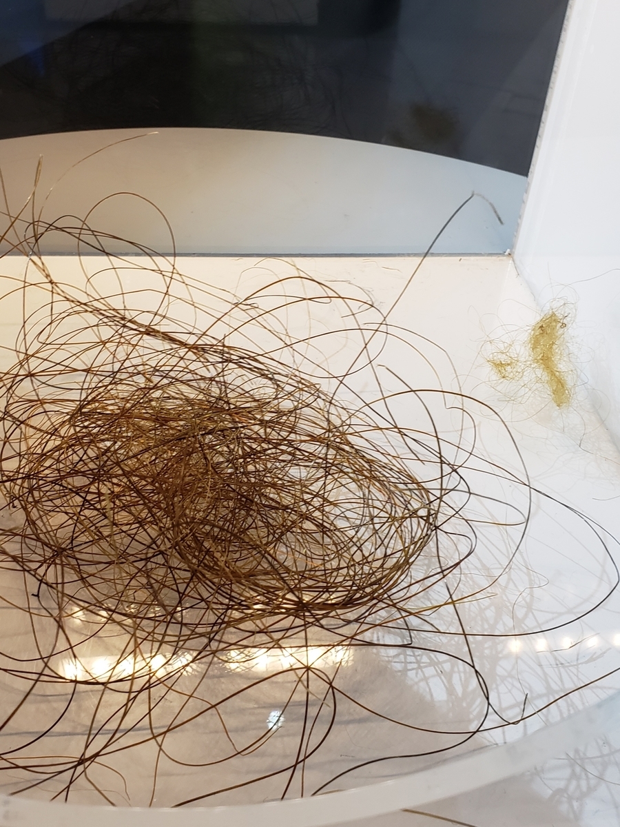 f:id:sukinamonomono:20190629202856j:plain f:id:sukinamonomono:20190629202856j:plain