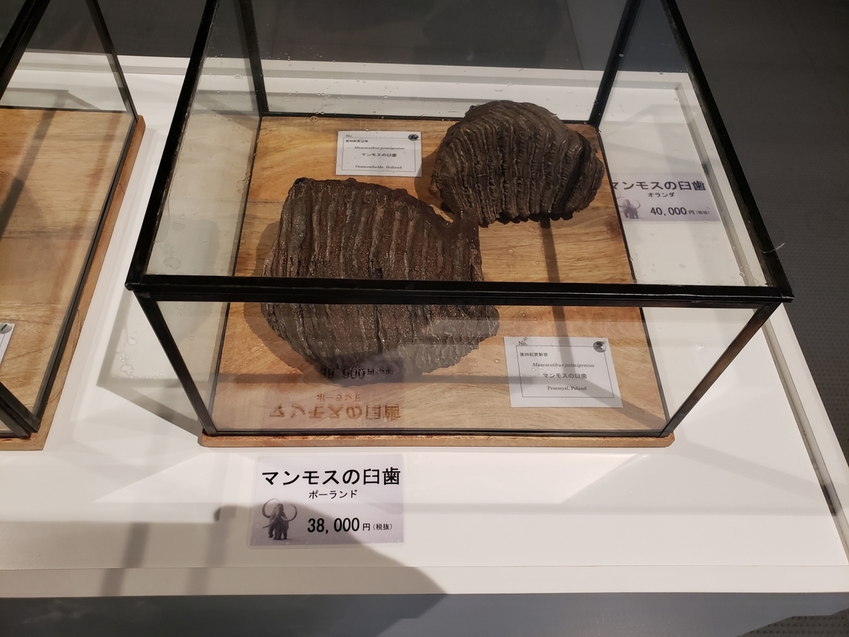 f:id:sukinamonomono:20190629203621j:plain f:id:sukinamonomono:20190629203621j:plain