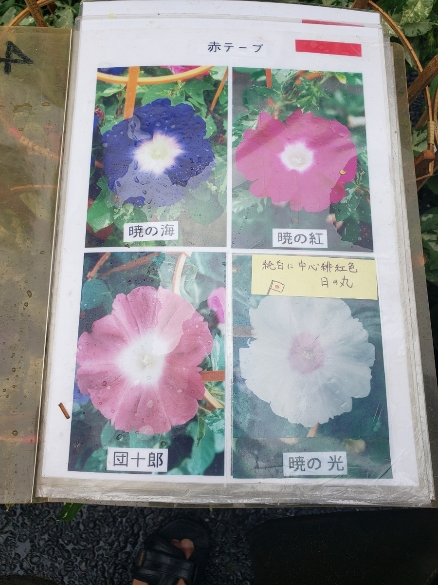 f:id:sukinamonomono:20190709002210j:plain f:id:sukinamonomono:20190709002210j:plain