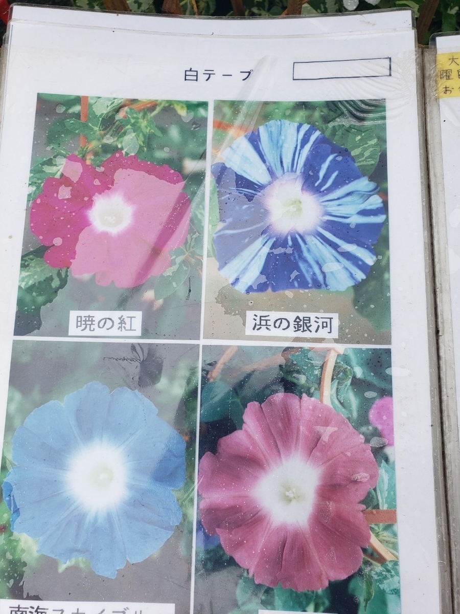 f:id:sukinamonomono:20190709002224j:plain f:id:sukinamonomono:20190709002224j:plain