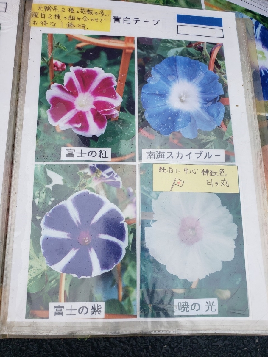 f:id:sukinamonomono:20190709002244j:plain f:id:sukinamonomono:20190709002244j:plain