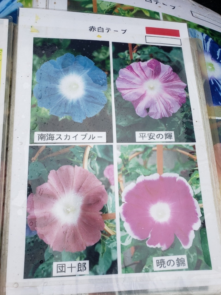 f:id:sukinamonomono:20190709002248j:plain f:id:sukinamonomono:20190709002248j:plain