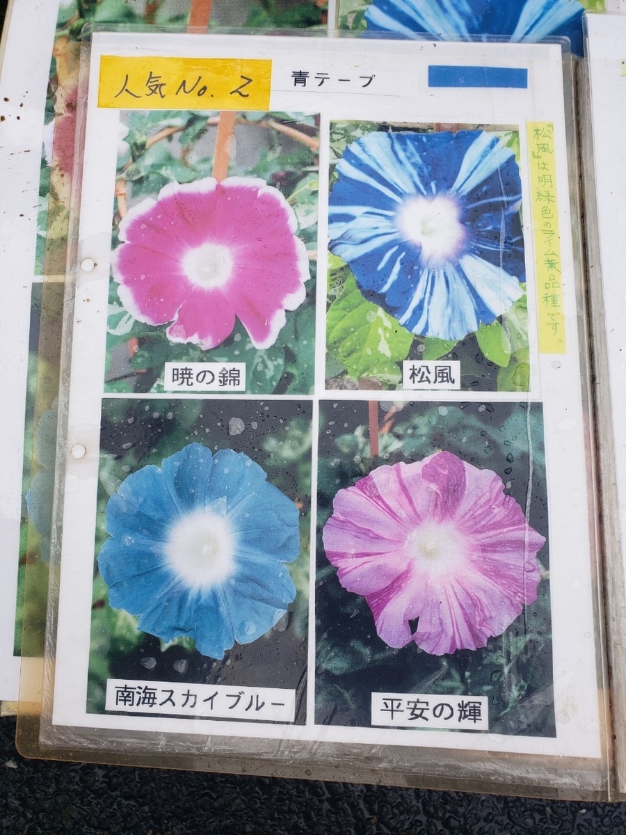 f:id:sukinamonomono:20190709002420j:plain f:id:sukinamonomono:20190709002420j:plain