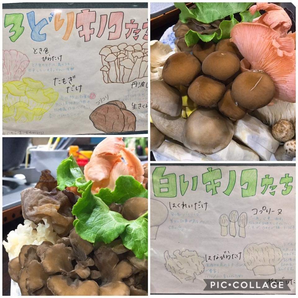 f:id:sukinamonomono:20190710003248j:plain f:id:sukinamonomono:20190710003248j:plain