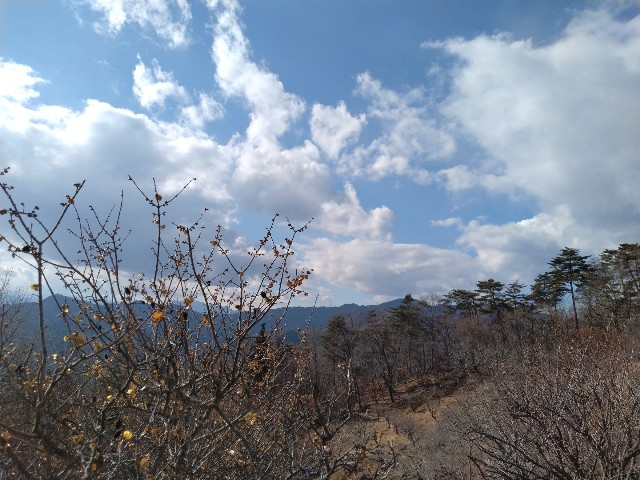 f:id:sukinatabi:20250122004325j:image