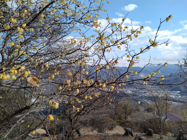 f:id:sukinatabi:20250122004331j:image