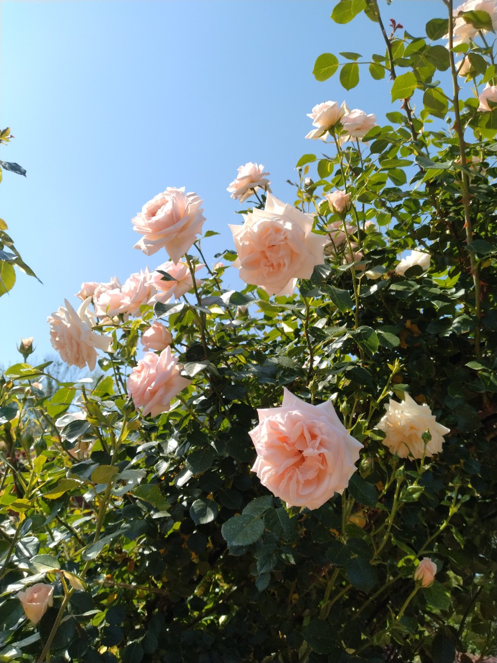 f:id:sukinatabi:20260513003930j:image
