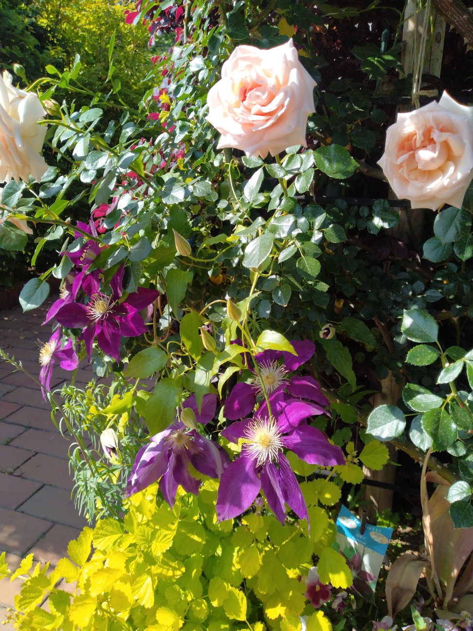 f:id:sukinatabi:20260513003936j:image