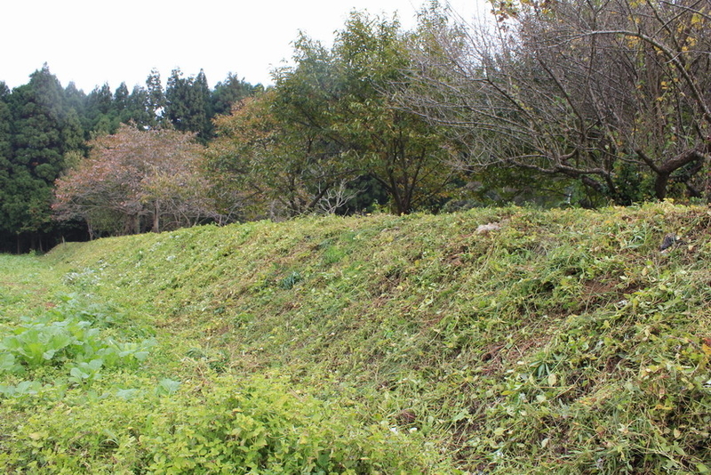 イメージ 6