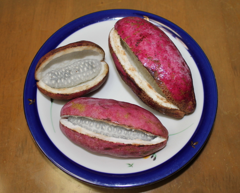 イメージ 2