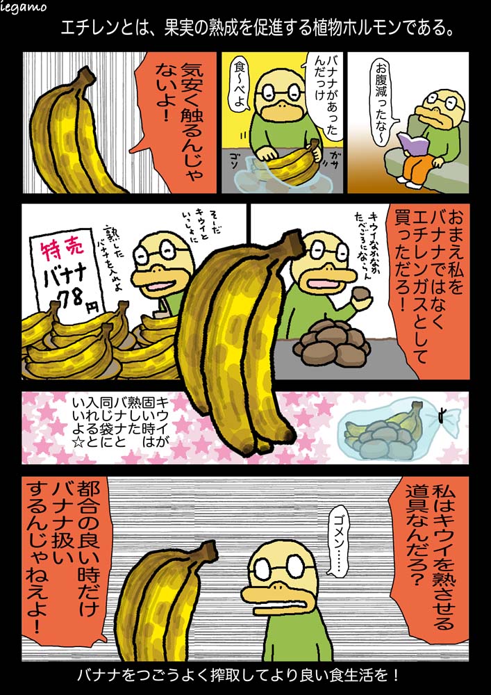 f:id:sukoyakagamo:20210804201957j:plain