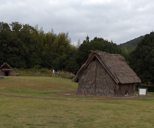 眩しすぎる白い世界 - sukunade’s blog