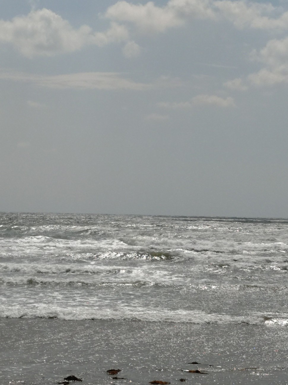 f:id:sukunade:20260516204608j:image f:id:sukunade:20260516204608j:image