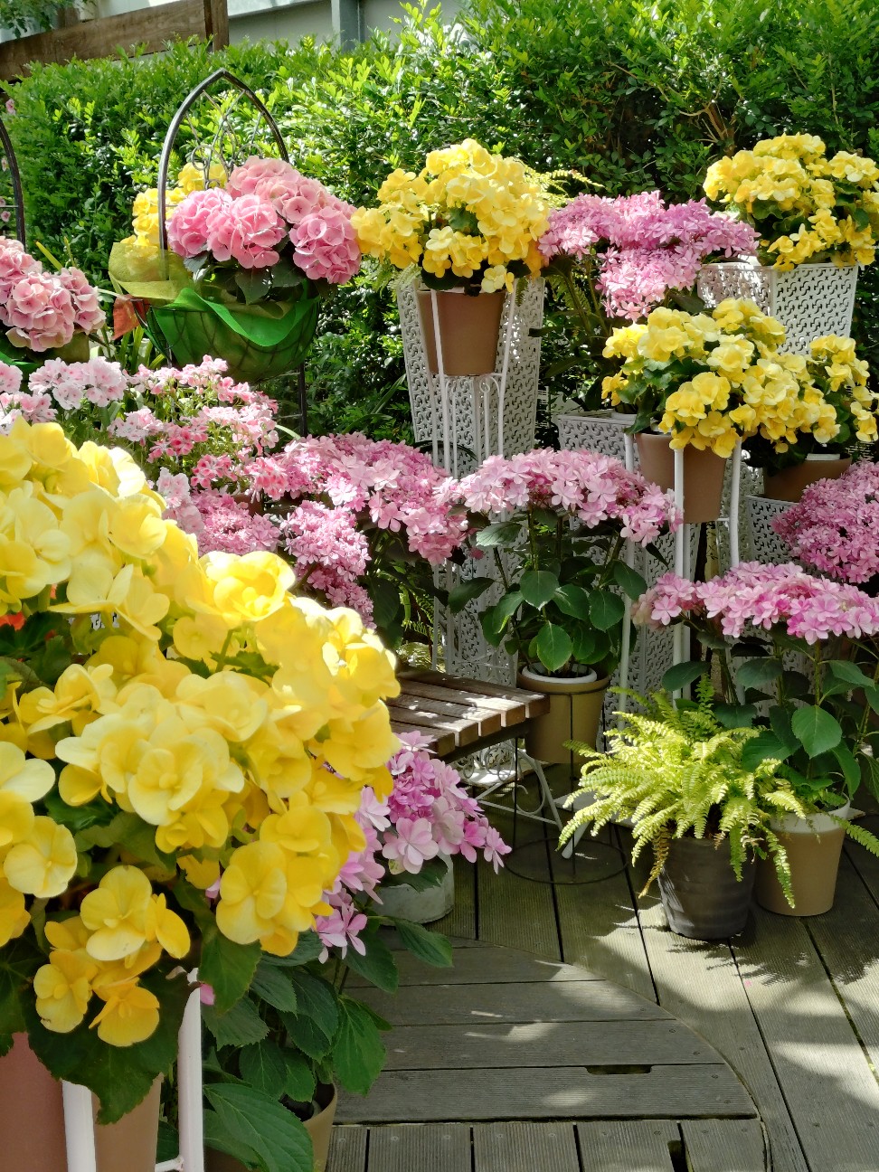 f:id:sukunade:20260528210942j:image f:id:sukunade:20260528210942j:image