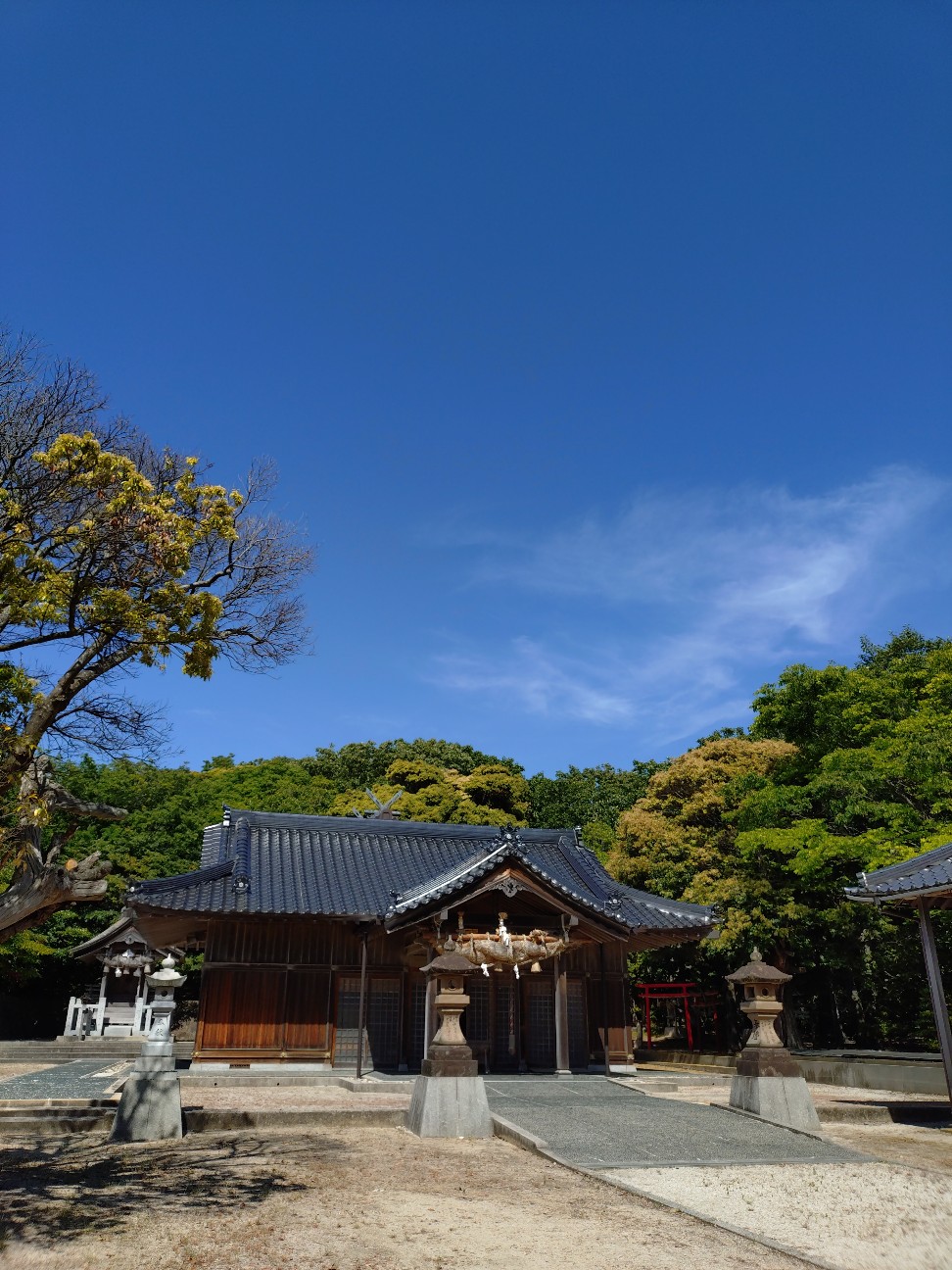 f:id:sukunade:20260620155613j:image f:id:sukunade:20260620155613j:image