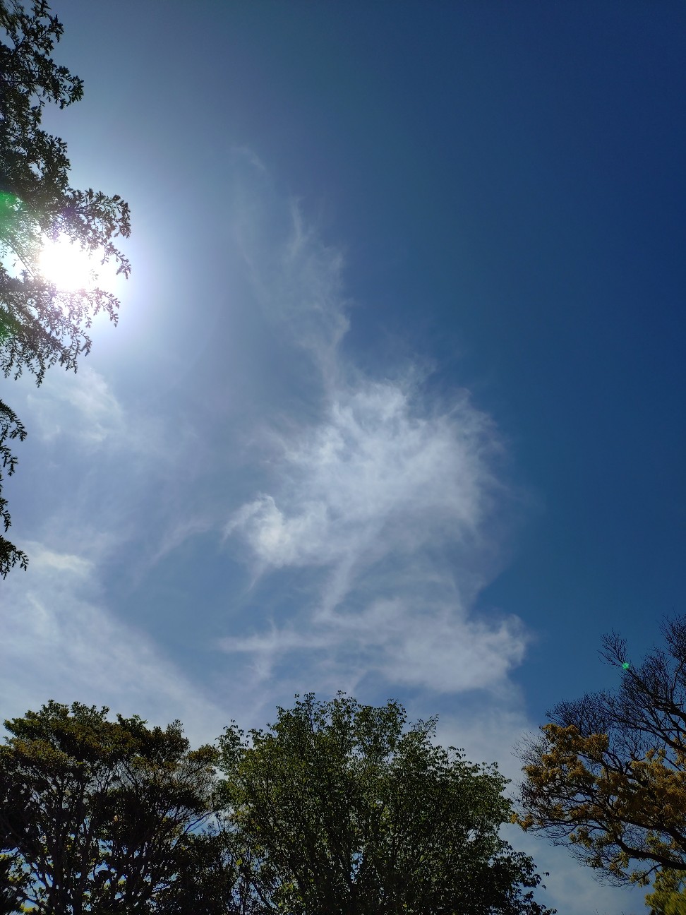 f:id:sukunade:20260620155614j:image f:id:sukunade:20260620155614j:image