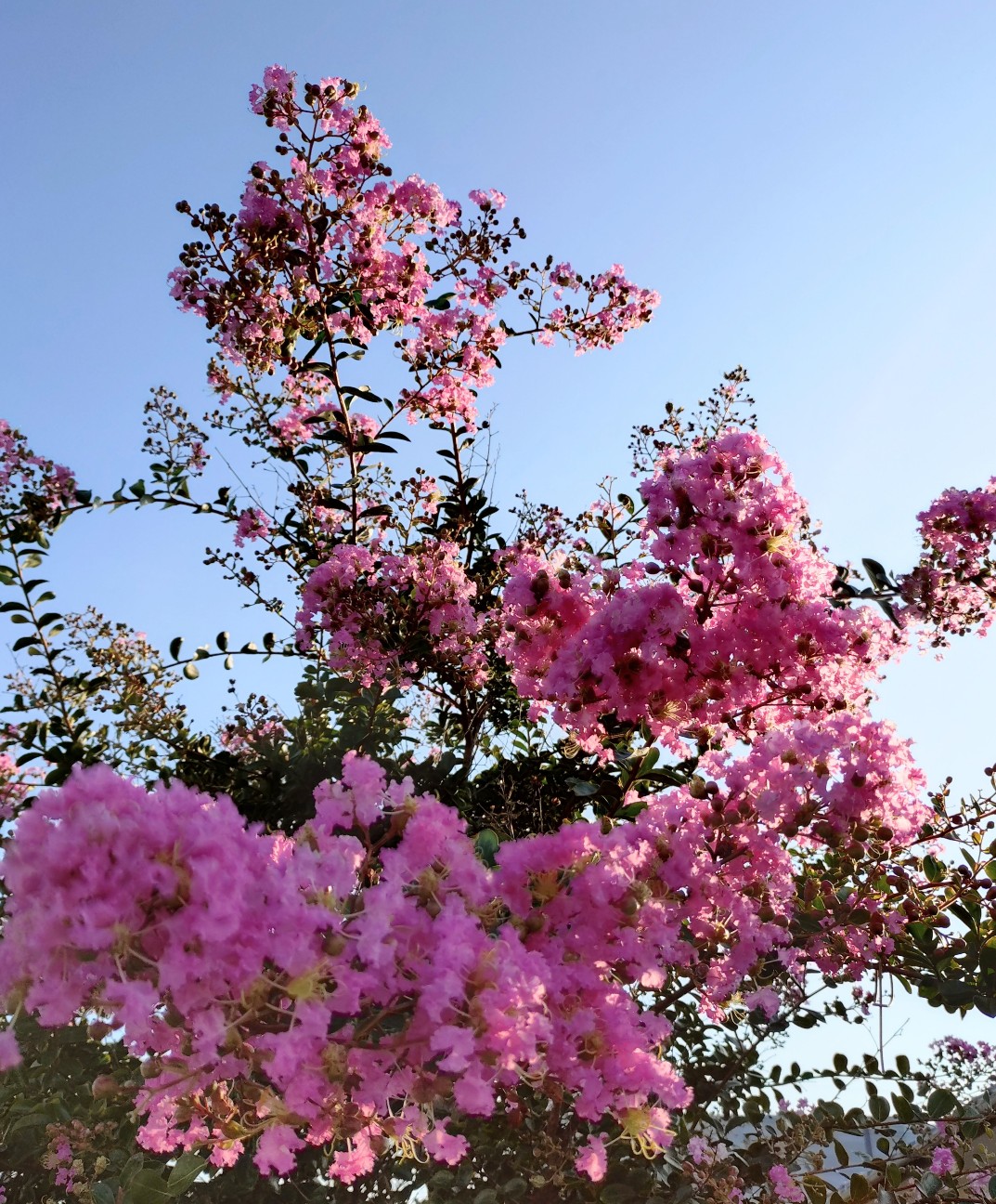 f:id:sukunade:20260730232006j:image f:id:sukunade:20260730232006j:image